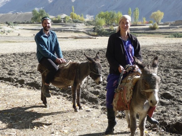 The Swiss and the donkeys